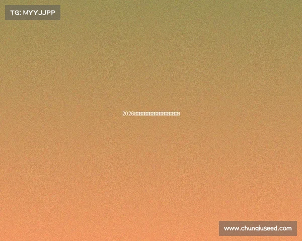 2026世界杯抽签揭晓全解析各大强队分组前瞻 2026世界杯抽签揭晓全解析各大强队分组前瞻