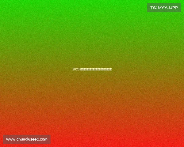 2026世界杯官方正版臂章限量发售精彩收藏必备指南 2026世界杯官方正版臂章限量发售精彩收藏必备指南