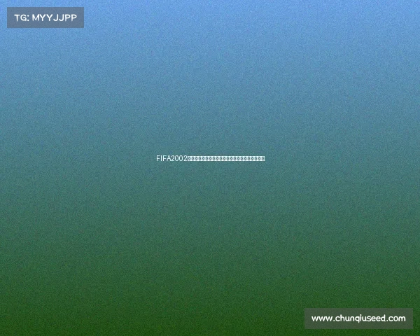 FIFA2002世界杯联机对战方法与网络连接全面指南攻略解析 FIFA2002世界杯联机对战方法与网络连接全面指南攻略解析