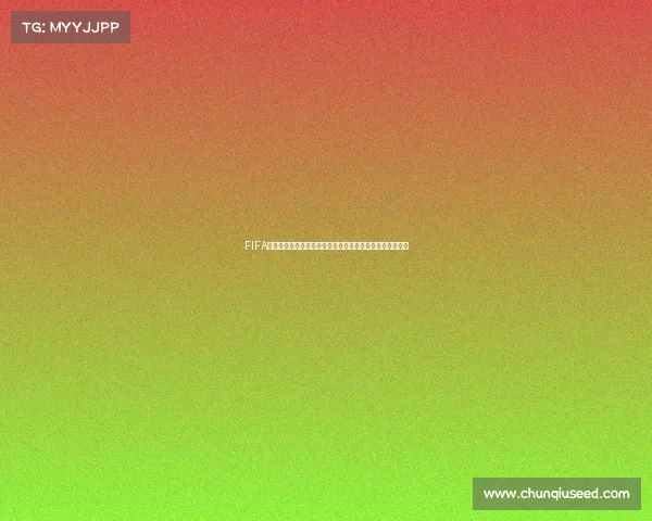FIFA世界杯金球奖答案全解析历届得主与评选规则深度揭秘真相 FIFA世界杯金球奖答案全解析历届得主与评选规则深度揭秘真相